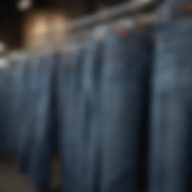 Variety of denim styles showcased on a display rack