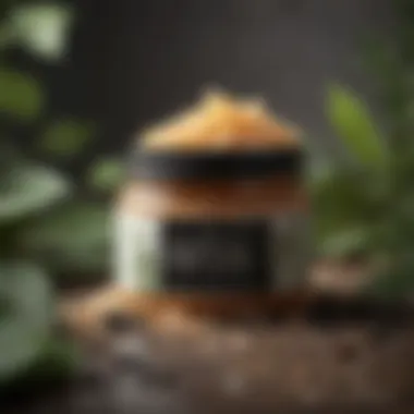 Botanical Bliss Body Scrub Botanical Bliss Body Scrub