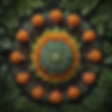Botanical Symmetry in Balance A botanical depiction symbolizing natural balance