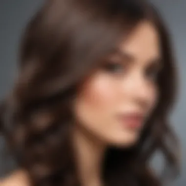 Intricate Brunette Hair Toning Technique Brunette Hair Toning Process Illustration