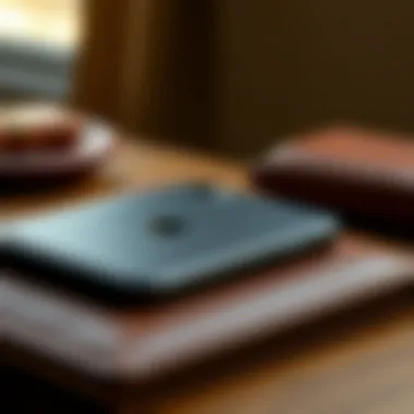 Notable Comprehensive Guide to Apple Leather Care