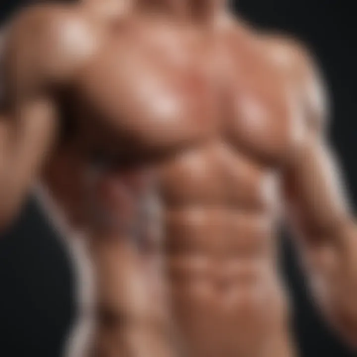 Abstract illustration of a strong core muscles anatomy