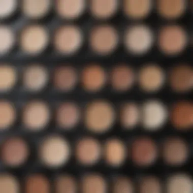 A detailed palette showcasing various cream eyeshadow shades