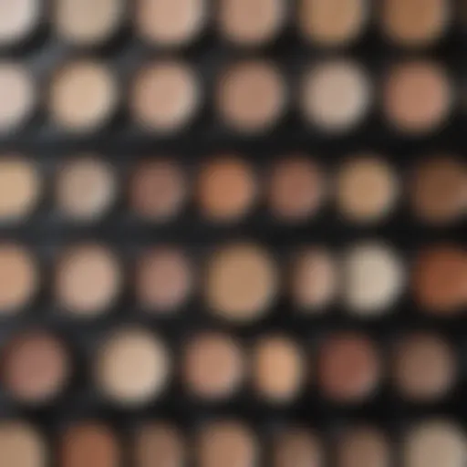 A detailed palette showcasing various cream eyeshadow shades