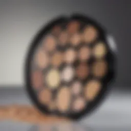 Concealer palette with various shades suitable for mature skin