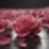Exquisite Rose Petals