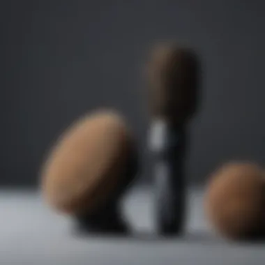 Comparative Analysis of the Denman Brush and Other Hairbrushes Denman brush against a backdrop of various hairbrushes