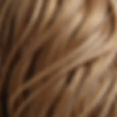 Close-up of hair strands showcasing brassiness vs. vibrancy
