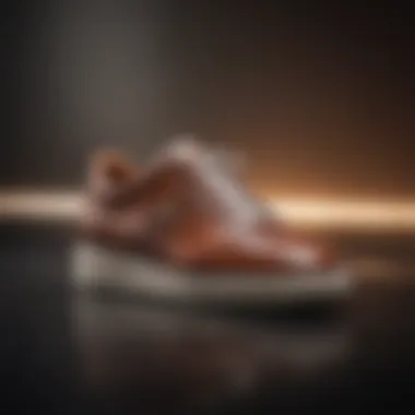 Opulent Touch: Leather Accents on Classy Tennis Shoe Luxurious Leather Detailing on Tennis Shoe