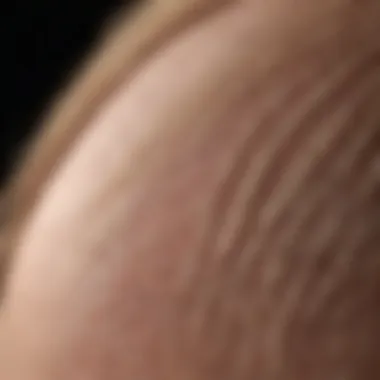 The Foundation of Hair Growth Healthy hair follicles under a microscope