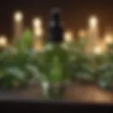 Essential Oils Skincare Routine