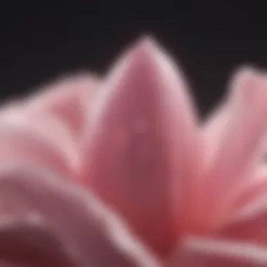 Ethereal Pink Petal Elegance Ethereal Pink Petal Nail Polish
