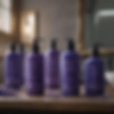 A selection of top blue violet shampoos on a vanity