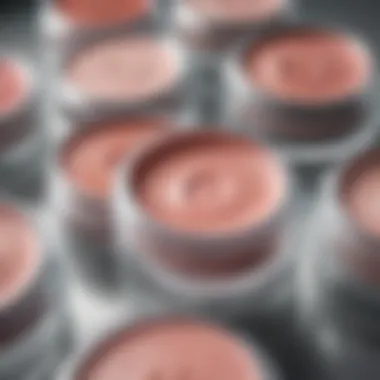 Top-Rated Drugstore Cream Blushes Display of popular drugstore cream blush products arranged aesthetically