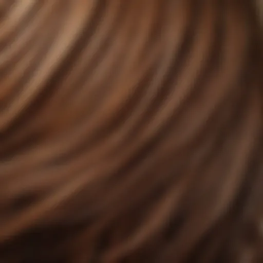 Close-up of healthy, thick hair with natural shine