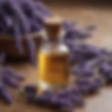 Lavender Oil: Soothing and Calming Effects Lavender essential oil with dried lavender flowers beside it
