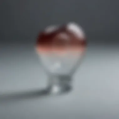 Sleek Glass Butt Plug with Flared Base