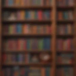 Illustration depicting a colorful bookshelf with diverse Latinx literature