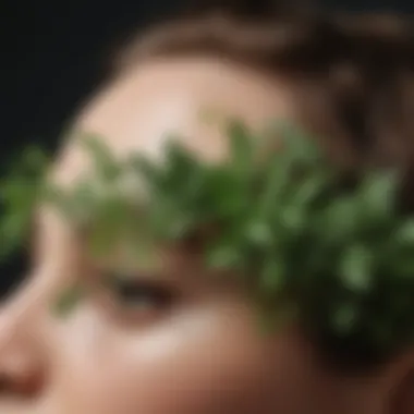 A close-up of fresh herbs known for promoting hair health.