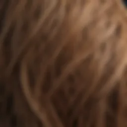 Close-up of damaged hair strands highlighting fried texture