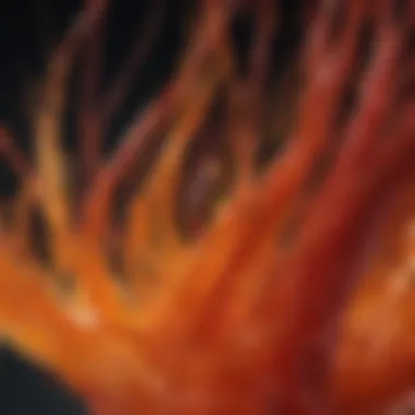 Understanding Hair Dye Chemistry Chemical structure and composition of temperature reactive dyes