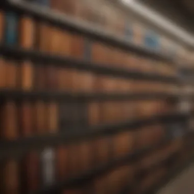 A variety of sunless tanning products lined up on a store shelf