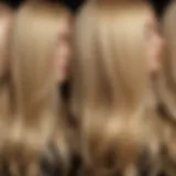 A stunning display of various blonde hair shades