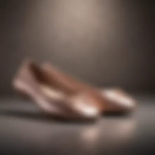 Elegant wide fit ballet flats showcasing contemporary design