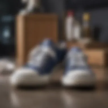 Footwear Care Tips for Fancy Keds Care tips for maintaining the quality of fancy Keds sneakers.