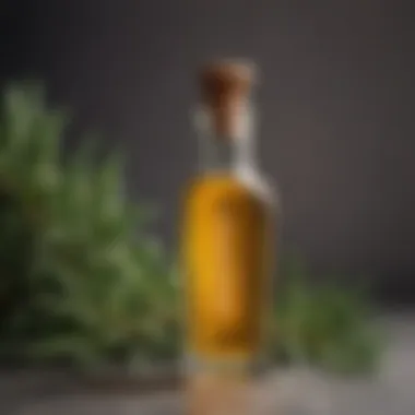 Luxurious Rosemary Extract Glass bottle filled with golden rosemary oil