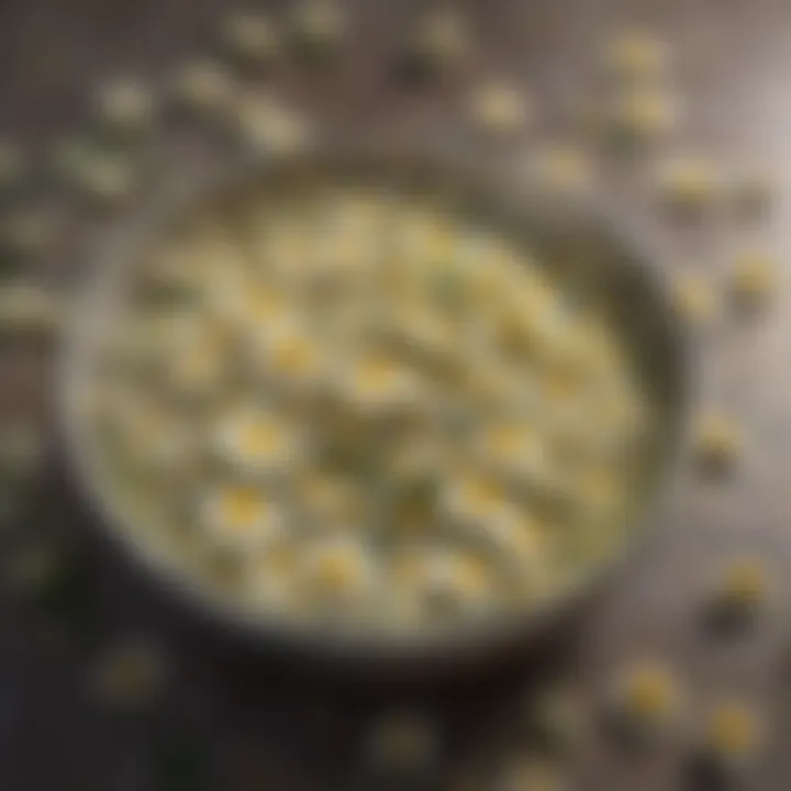 Herbal Chamomile Flowers