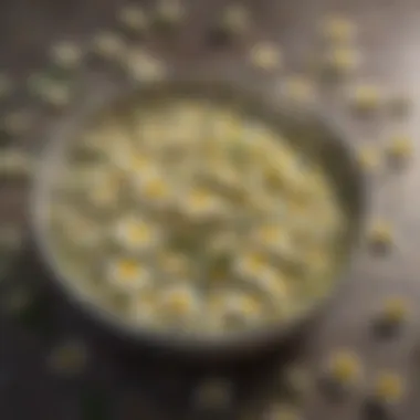 Soothing Herbal Chamomile Infusion Herbal Chamomile Flowers