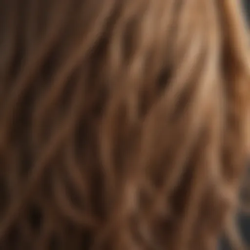 Frayed hair ends showing damage