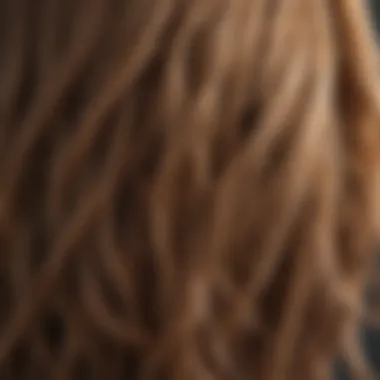 Signs of Frayed Hair Ends Frayed hair ends showing damage
