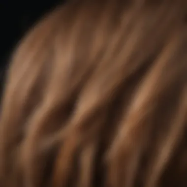 Uneven Texture in Hair Strands Hair strands with uneven texture