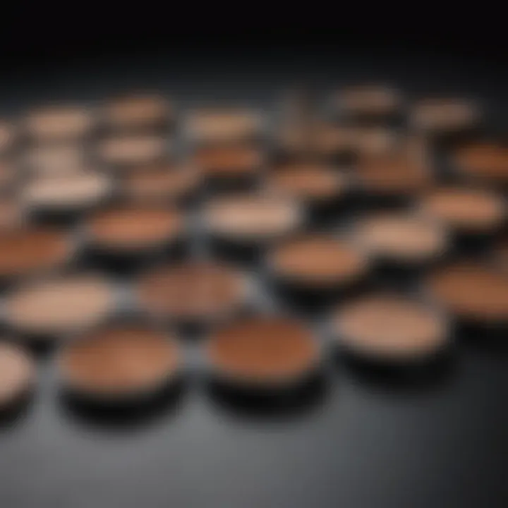 Side-by-side comparison of il Makiage bronzer and other brands