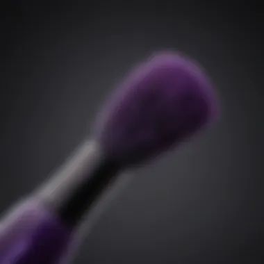 Application Brush for Kerastase Purple Shampoo