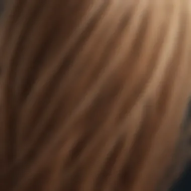 Close-up of hair strands showcasing the smoothness from keratin treatment