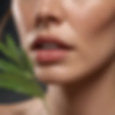 Luxurious Botanical Fusion for Gentle Hair Removal Lush Botanical Blend Pubic Hair Removal Cream