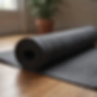 Luxurious Alo Yoga Mat