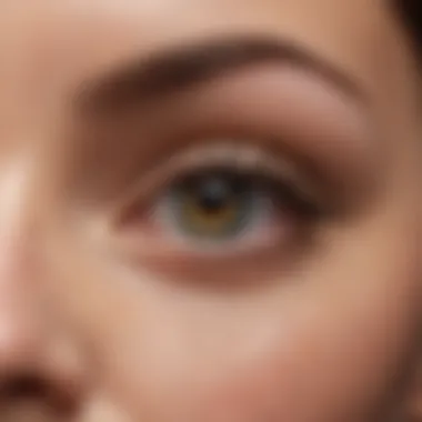 Opulent Elegance Eye Primer Luxurious Eye Primer for Mature Skin