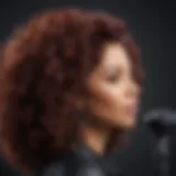 Luxurious Hair Styling Tools by Chaka Khan