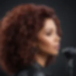 Luxurious Hair Styling Tools by Chaka Khan