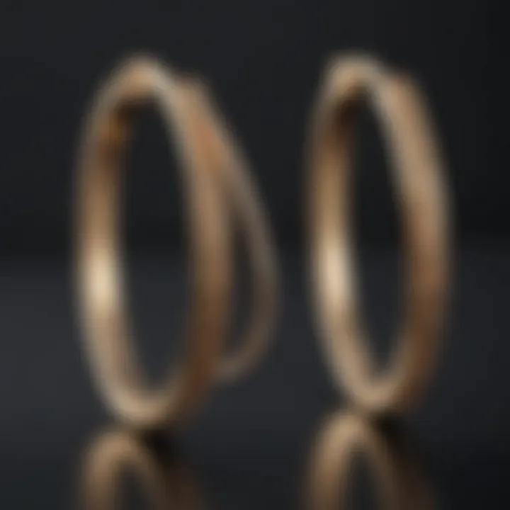 Elegant Gold Hoop Earrings