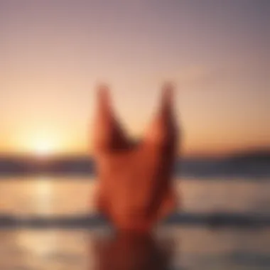 Minimalist swimwear against sunset backdrop