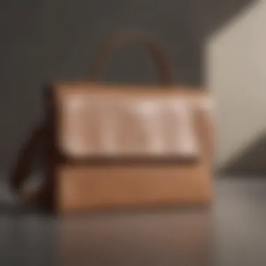 Understated Elegance Minimalistic leather book bag in neutral tones
