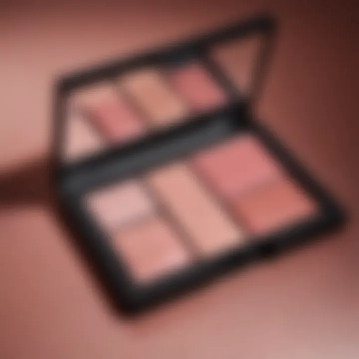 Captivating NARS Blush Palette in Rosy Glow