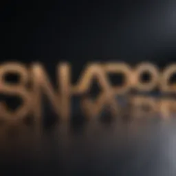 NARS Pro Program logo showcasing its professional essence