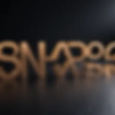 NARS Pro Program logo showcasing its professional essence