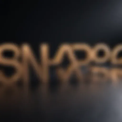 NARS Pro Program logo showcasing its professional essence